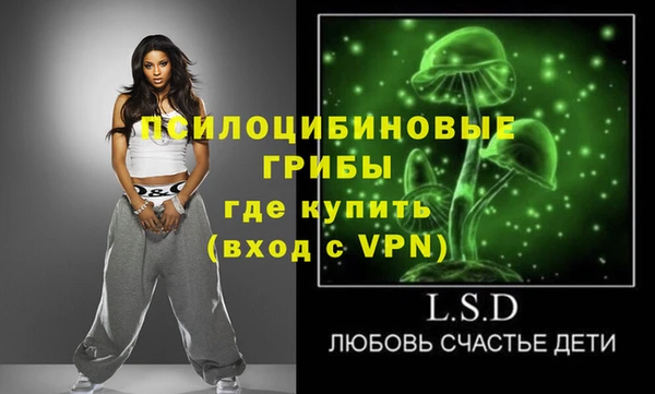 apvp Бугульма