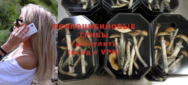 гашиш Бородино