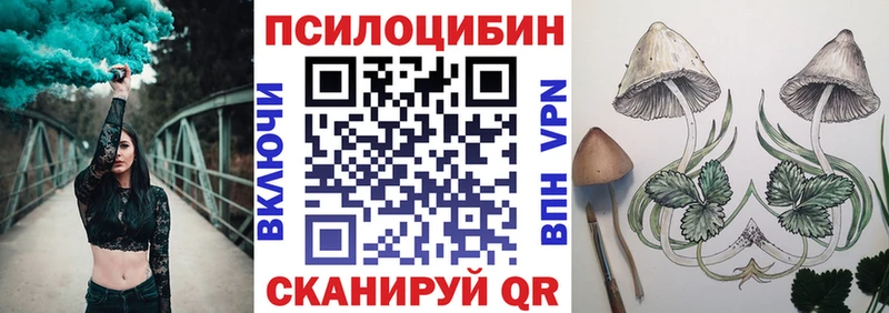 Псилоцибиновые грибы Psilocybe Купить где Верхний Тагил